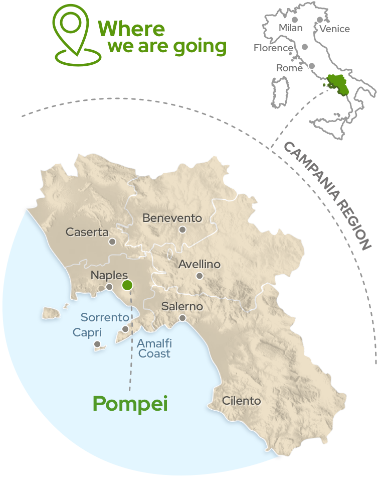 Amalfi Tour