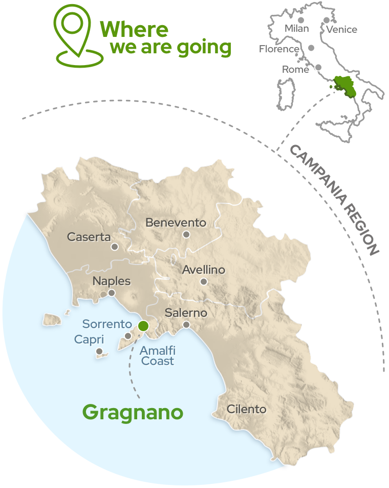 Amalfi Tour