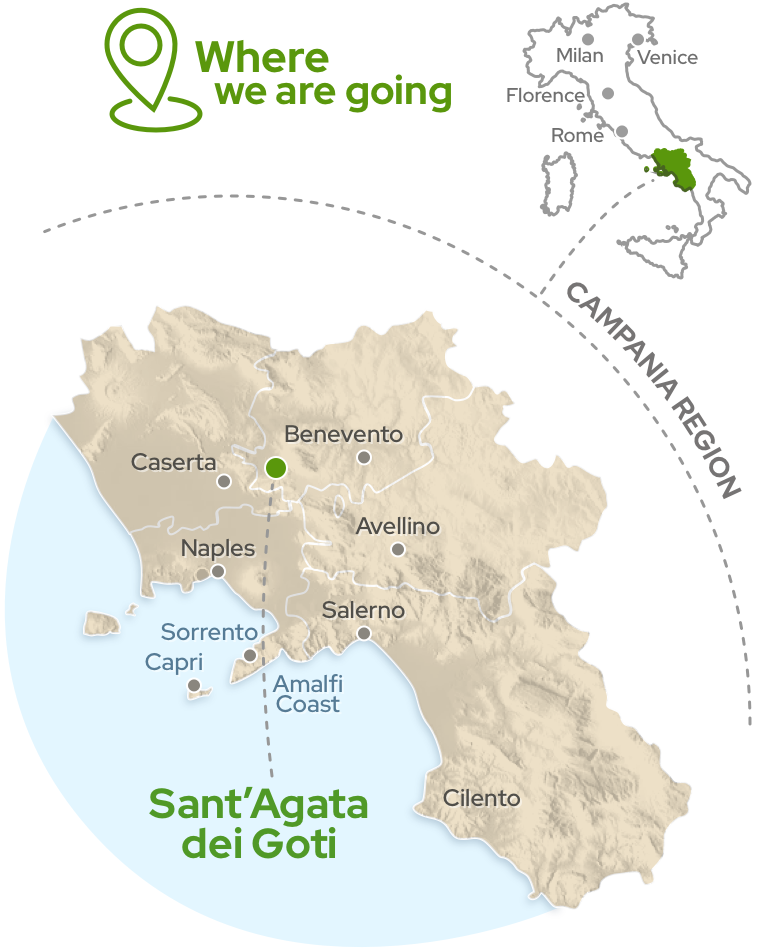 Amalfi Tour