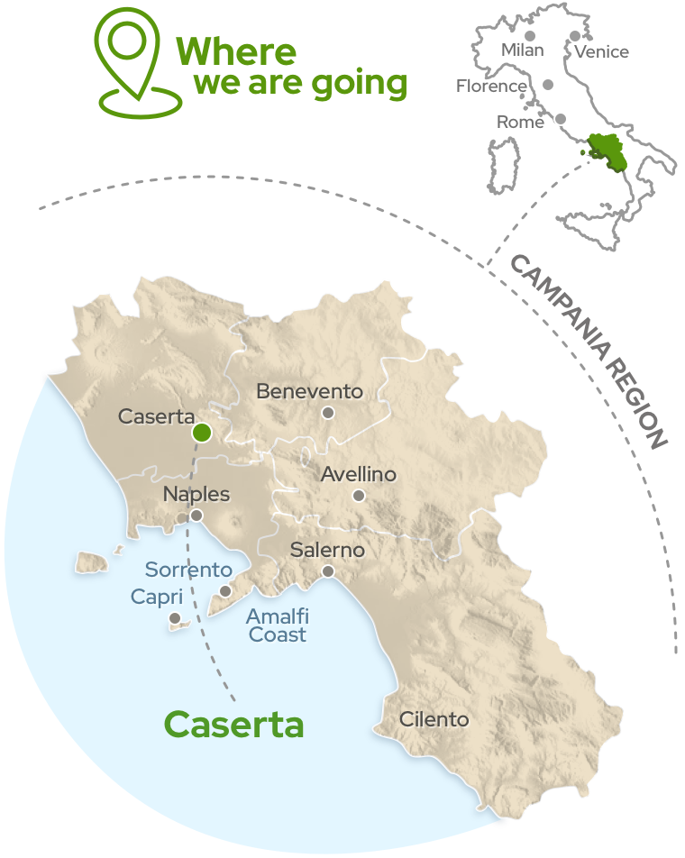 Amalfi Tour