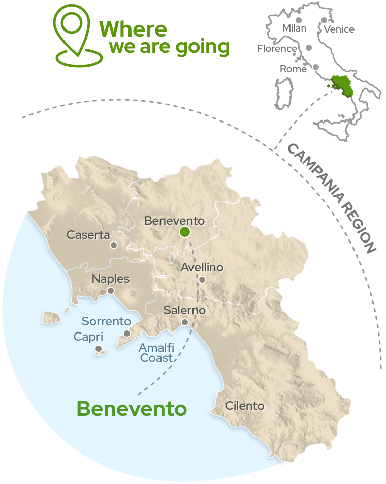 Amalfi Tour