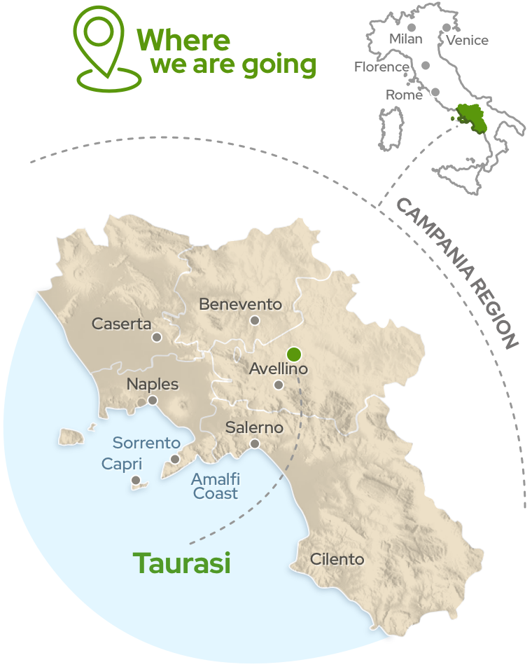 Amalfi Tour