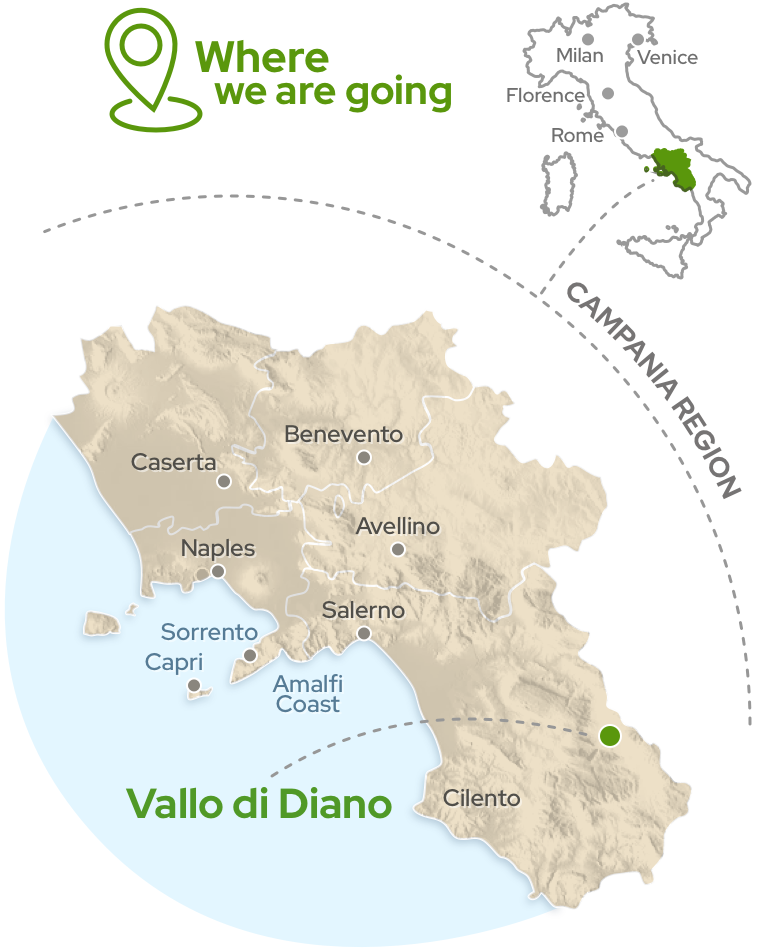 Amalfi Tour