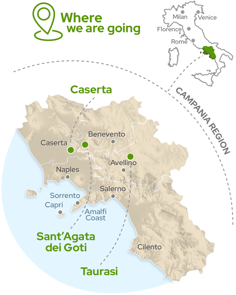 Amalfi Tour