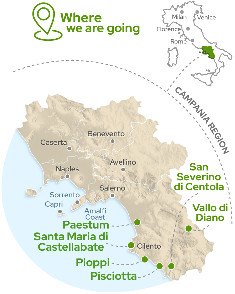 Amalfi Tour