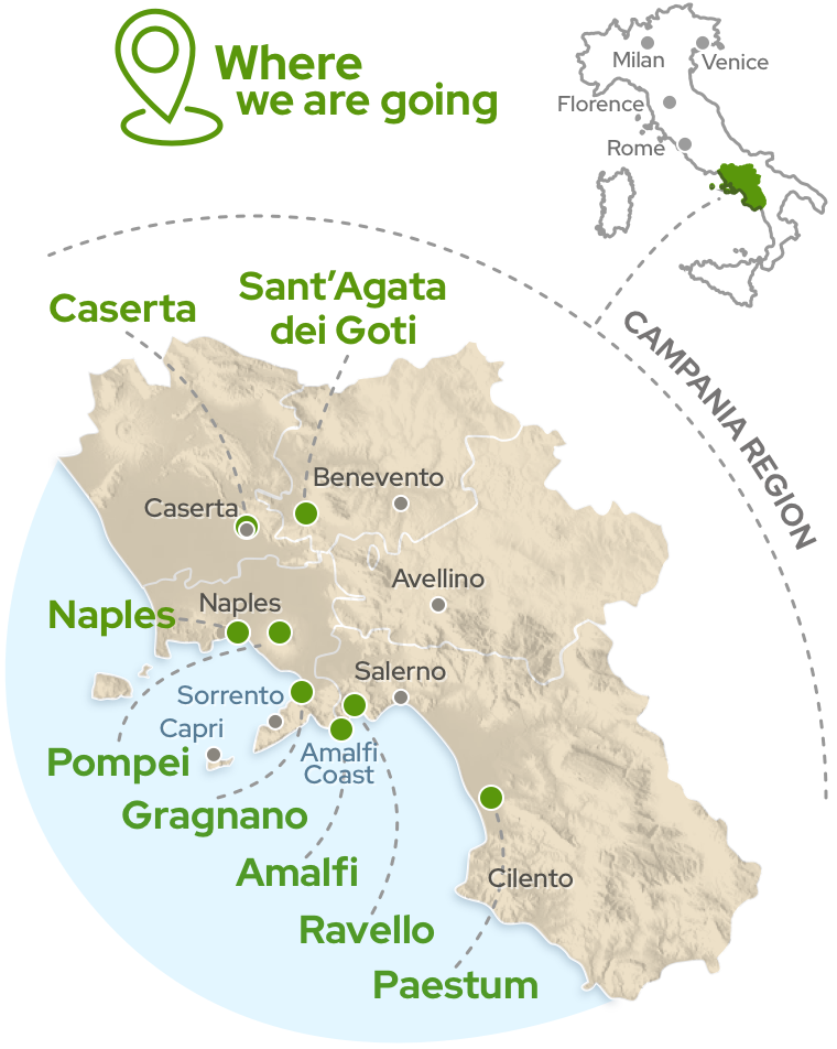 Amalfi Tour