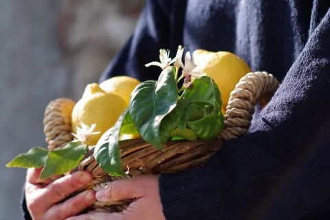 Delicacies and delights in the Old Naval Republic of Amalfi